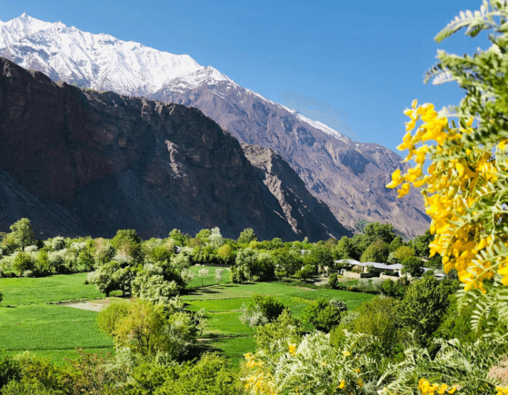 Chitral & Kalash Valley
