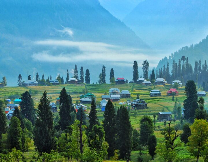 Lush Green Valley