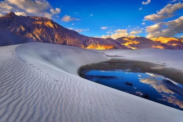 lake with desert